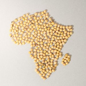 Africa made of soybeans